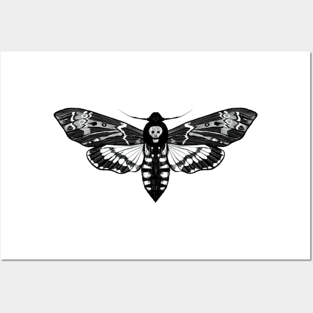 Death's Head Moth Wall Art by JCPhillipps